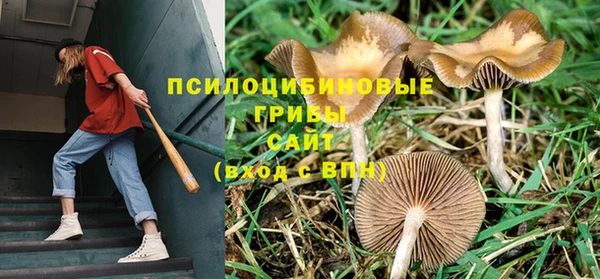 гидропоника Белоозёрский