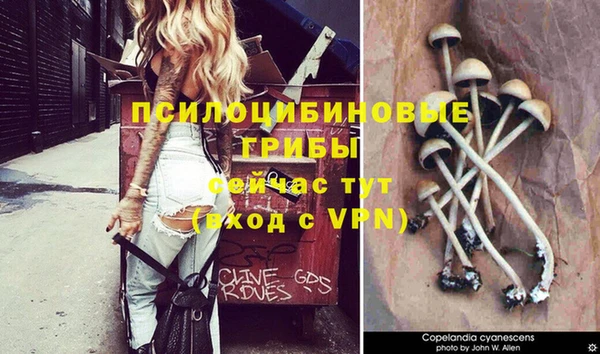 спиды Беломорск