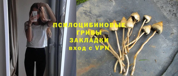 гидропоника Белоозёрский